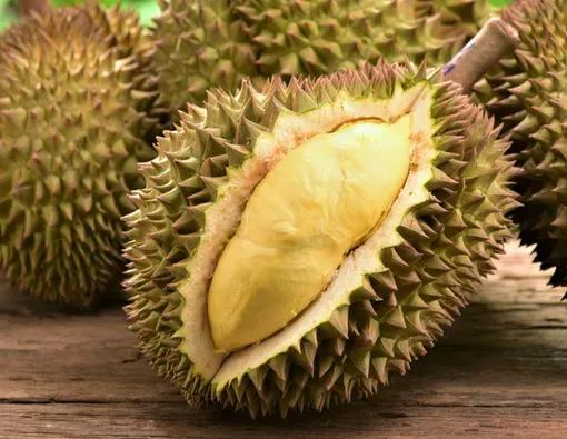 044618300_1565447981-Durian-Memicu-Kolesterol-Tinggi-Mitos-atau-Fakta-By-taveesak-srisomthavil-Shutterstock.webp