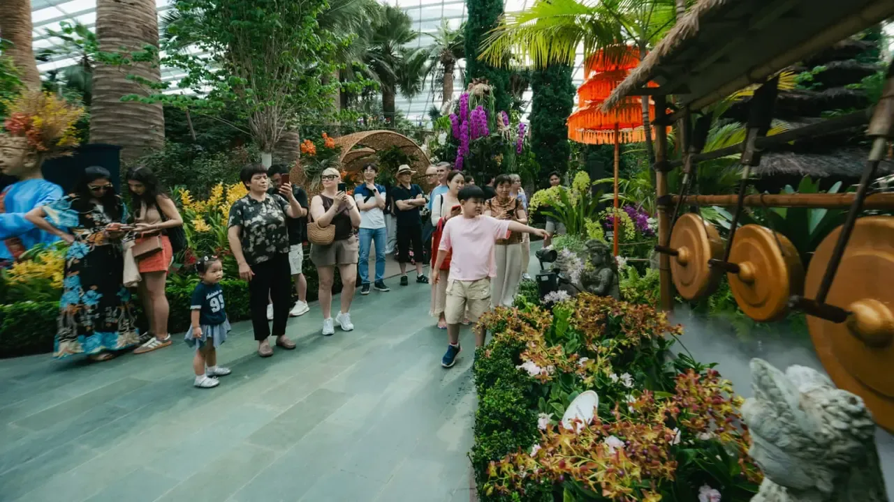 048532900_1783940700-WhatsApp_Image_2026-07-11_at_4.19.54_PM.webp