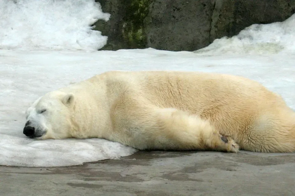 1786780691949_norway_fines_.webp