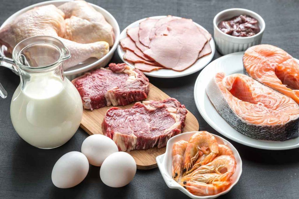 Contoh-Makanan-yang-Mengandung-Protein-Tinggi-Cocok-Untuk-Diet-1024x683.jpg