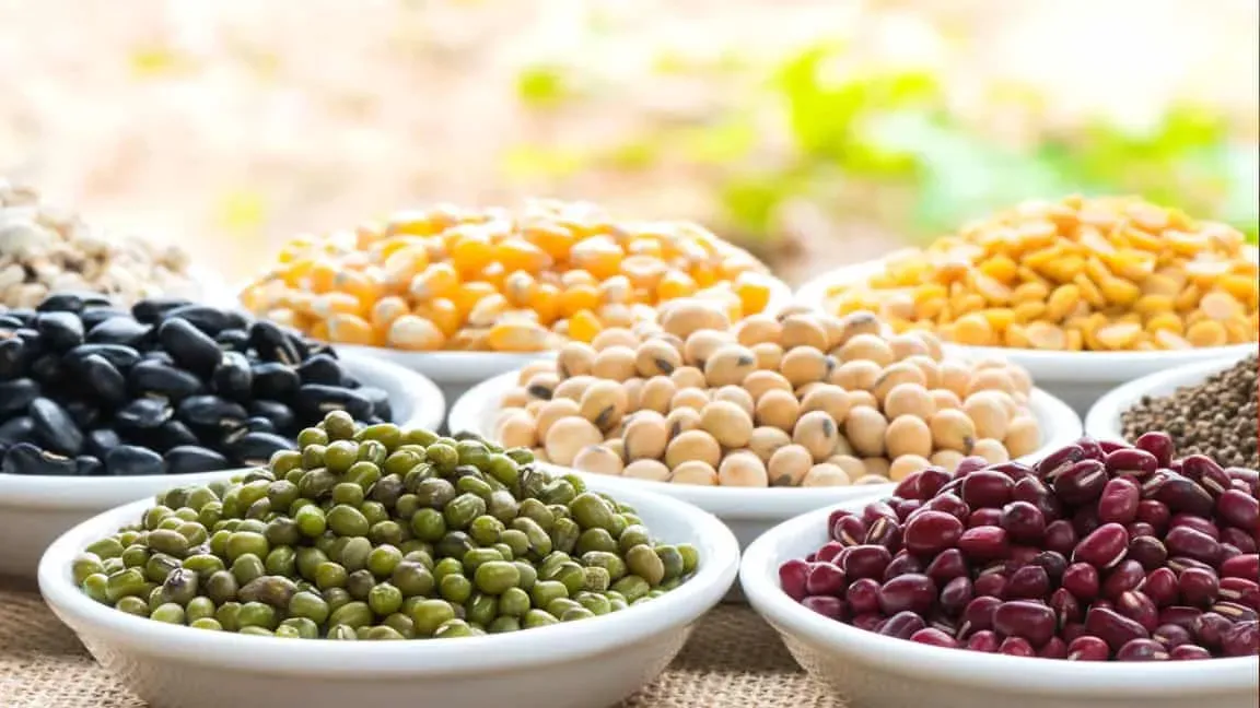 Jenis-Kacang-kacangan-yang-Paling-Sehat-Dimakan.jpg