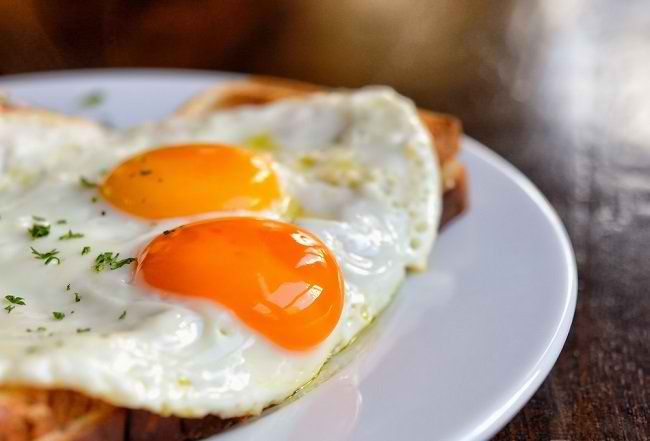 bakteri-salmonella-ada-di-dalam-telur-setengah-matang.jpg