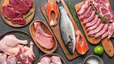 ilustrasi-protein-hewani_169.jpeg