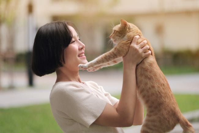 pelihara-kucing-menyebabkan-susah-hamil-mitos-atau-fakta-0-alodokter.jpg